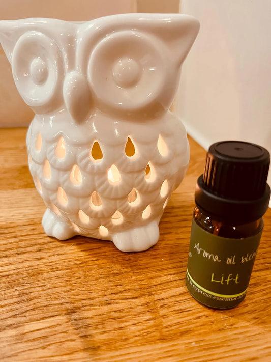 Aroma oil for diffuser or burner